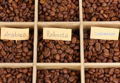 arabica vs colombian coffee beans